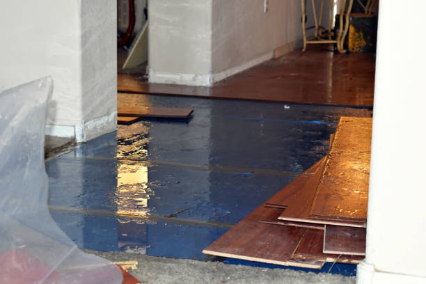 Professional Burst Pipe Cleanup technician working in Olton, TX